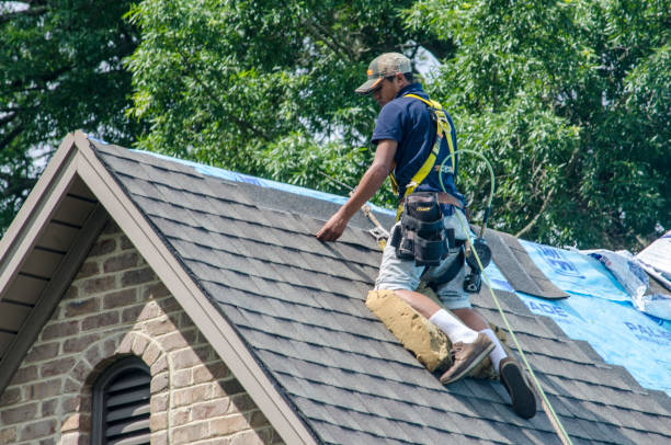 Best Roof Leak Repair  in Rm Beach, WA